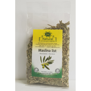 Maslina list / Olea europaea